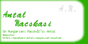 antal macskasi business card